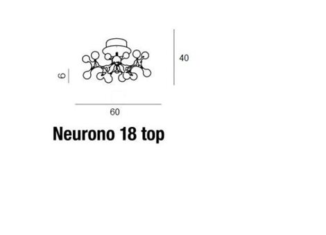 AZ0553 Neurono 18 top 2