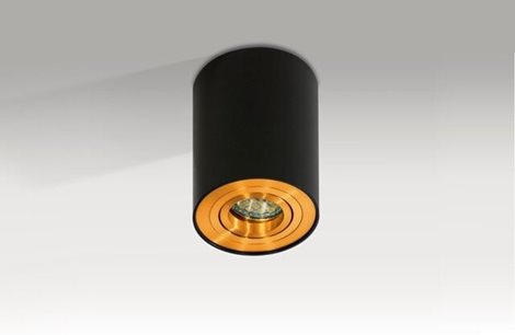 Bross 1 přisazené bodové svítidlo 1x GU10 50W bez zdroje 9,6cm kulaté IP20, černá/zlatá 3
