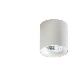 MANE přisazené bodové svítidlo LED 10W 882lm 4000K 8cm kulaté IP20, bílé