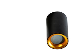 EIGER venkovní přisazené bodové svítidlo 1x GU10 50W bez zdroje 5,5cm kulaté IP54, černá/zlatá