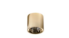 MANE přisazené bodové svítidlo LED 20W 1794lm 3000K stmívatelné 10cm kulaté IP20, zlaté