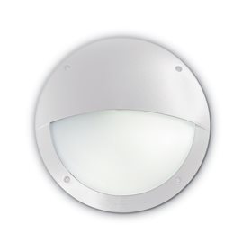 POLAR-2 AP1 venko přisazené svítidlo 1x E27 23W bez zdroje 30cm IP66, bílé