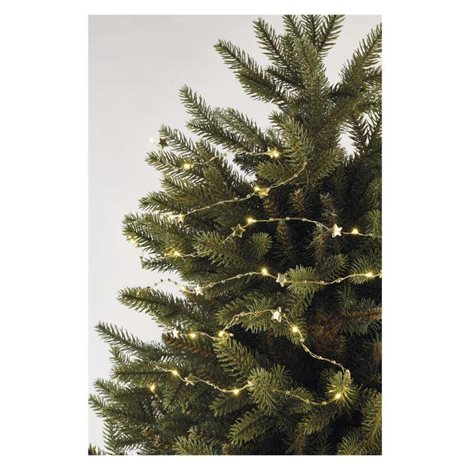 DCGW09 20LED GIRLAND GOLD 2AA WW 6