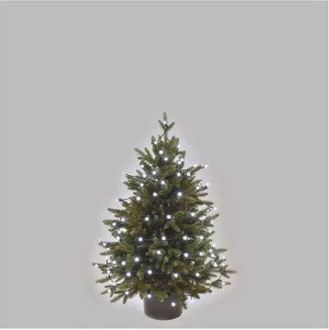 D5AC06 80LED CHERRY MF 8M IP44 CW 9