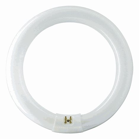 MASTER TL-E Circular Super 80 22W/840 1CT Kruhová zářivka 22W 1300lm 2
