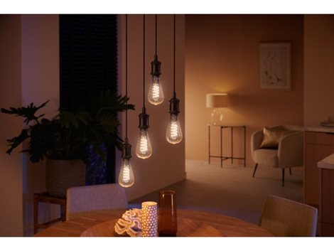 Hue WA Filament Led žárovka E27 ST72 7W 550lm 2200-4500K IP20 7