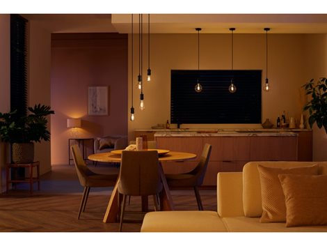Hue WA LED Filament žárovka E27 G125 7W 550lm 2200-4500K IP20 6