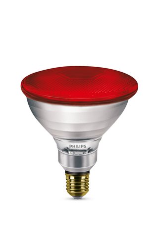Infražárovka IR175R PAR38 230V E27 2