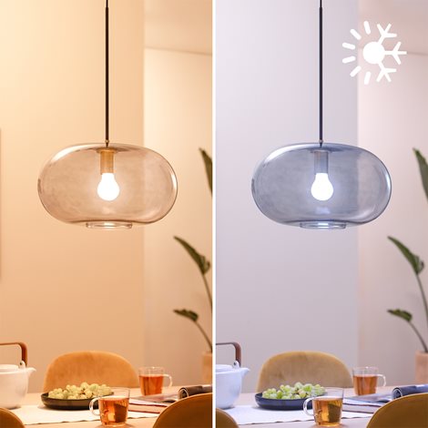 WiZ Smart LED Žárovka s mléčným sklem 7 W (ekv. 60 W) 806lm 2700-6500K A60 E27 6