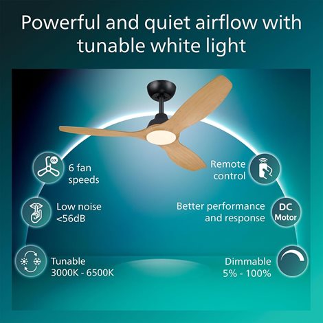 Olas stropní ventilátor a svítidlo 35W+24W černá a dřevo 3