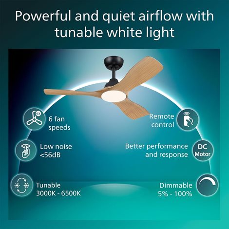Olas stropní ventilátor a svítidlo 30W+24W černá a dřevo 3