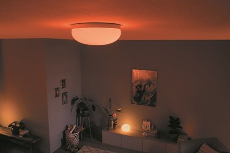 Hue WACA Flourish stropní LED svítidlo 1x32,5W 2250lm 2000-6500K RGB IP20 35,9cm bílá 28