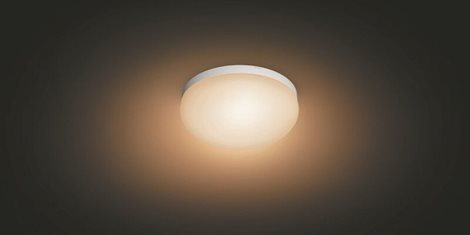 Hue WACA Flourish stropní LED svítidlo 1x32,5W 2250lm 2000-6500K RGB IP20 35,9cm bílá 34