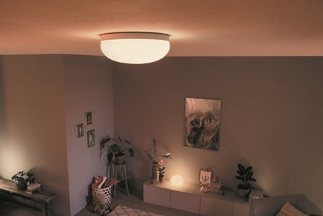 Hue WACA Flourish stropní LED svítidlo 1x32,5W 2250lm 2000-6500K RGB IP20 35,9cm bílá 24
