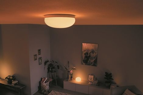 Hue WACA Flourish stropní LED svítidlo 1x32,5W 2250lm 2000-6500K RGB IP20 35,9cm bílá 22