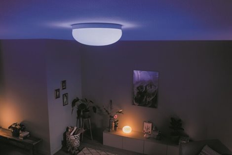 Hue WACA Flourish stropní LED svítidlo 1x32,5W 2250lm 2000-6500K RGB IP20 35,9cm bílá 18