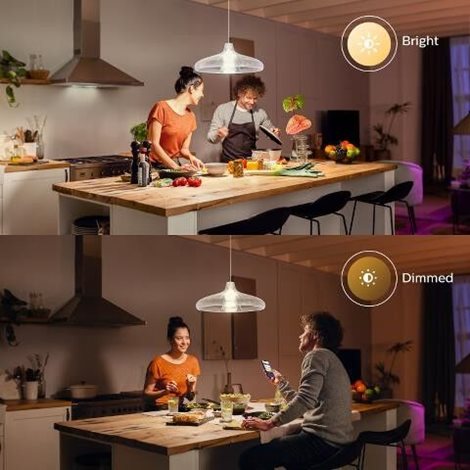 HUE White LED žárovka E27 A67 15,5W 1600lm 2700K IP20 6