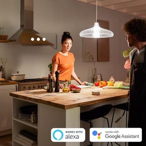 HUE White LED žárovka E27 A67 15,5W 1600lm 2700K IP20 5