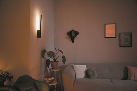 Hue WACA Liane nástěnné LED svítidlo 1x12,2W 850lm 2000-6500K RGB IP20 černá 7