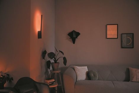 Hue WACA Liane nástěnné LED svítidlo 1x12,2W 850lm 2000-6500K RGB IP20 černá 2