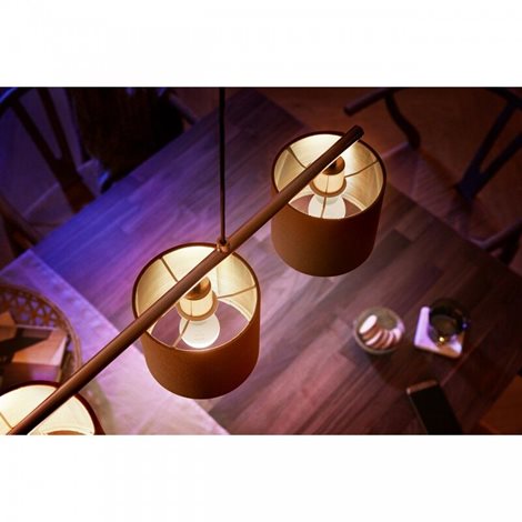 Hue White LED žárovka E14 P45 5,7W 470lm 2700K IP20 10